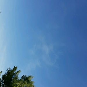 Meet your Posher, Daniela